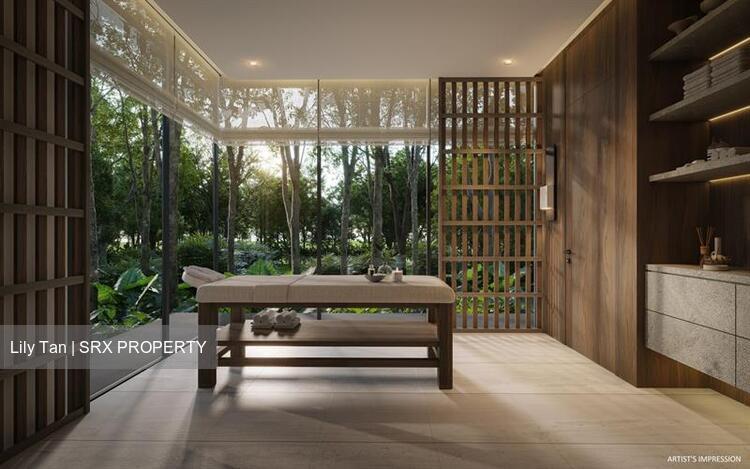 Upperhouse At Orchard Boulevard (D10), Apartment #589949401